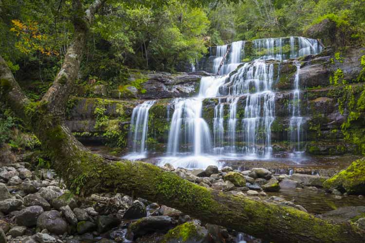 tasmania photo tour example 17